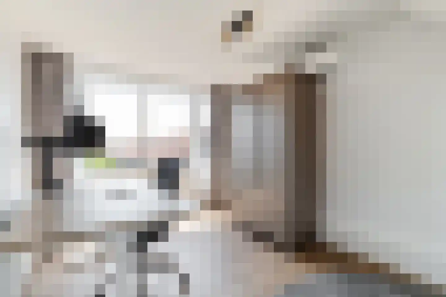 Vleutenseweg 454 Utrecht thumbnail 32