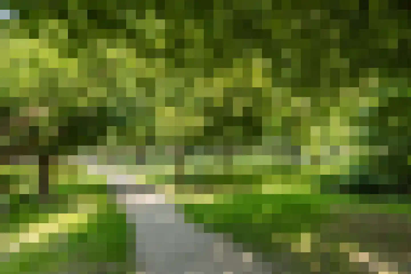 Vleutenseweg 454 Utrecht thumbnail 41