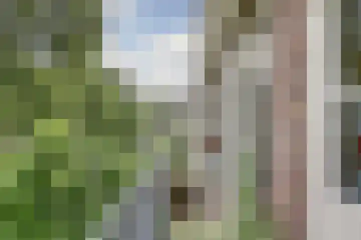 Vleutenseweg 459 Utrecht thumbnail 18