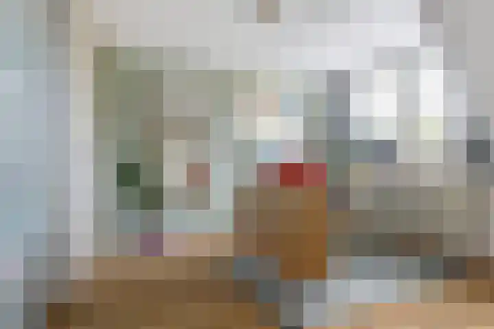 Vleutenseweg 459 Utrecht thumbnail 22