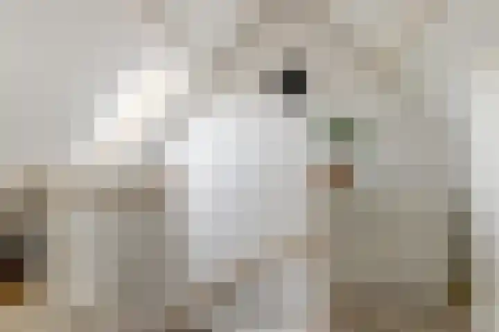 Vleutenseweg 459 Utrecht thumbnail 30