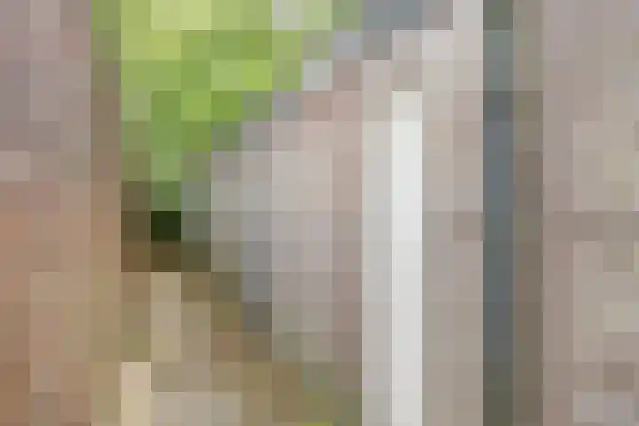 Vleutenseweg 459 Utrecht thumbnail 31