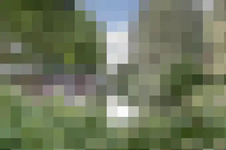 Vleutenseweg 459 Utrecht thumbnail 34