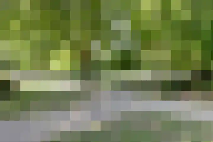 Vleutenseweg 459 Utrecht thumbnail 37