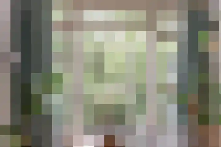 Vleutenseweg 459 Utrecht thumbnail 4