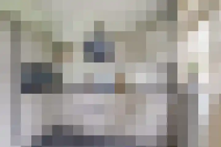 Vleutenseweg 459 Utrecht thumbnail 5