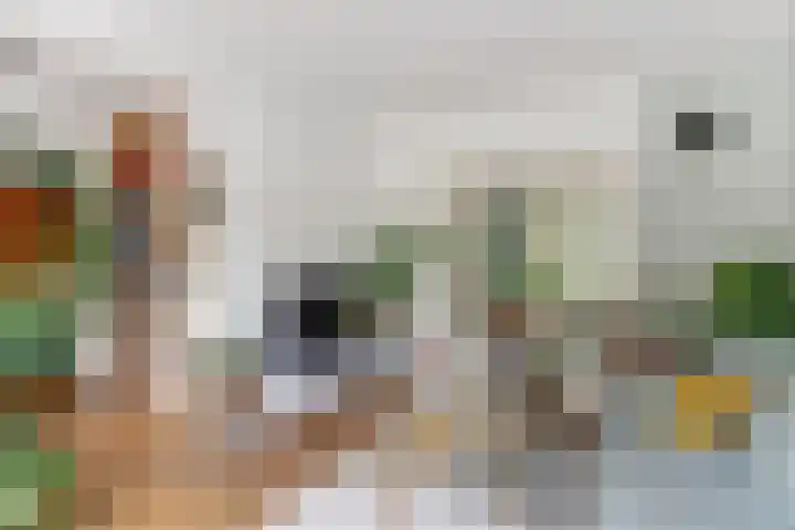 Vleutenseweg 459 Utrecht thumbnail 8