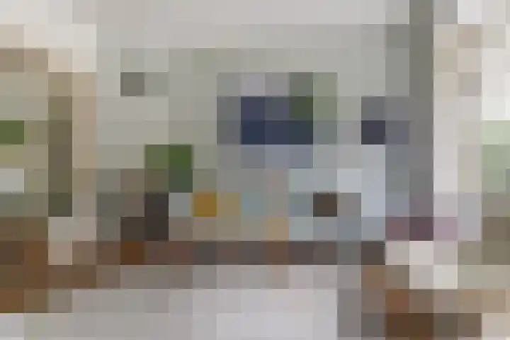 Vleutenseweg 459 Utrecht thumbnail 9