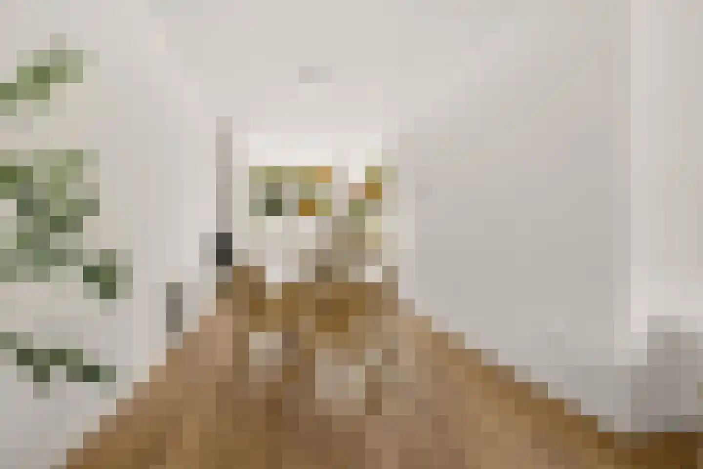Vleutenseweg 466 Utrecht thumbnail 12