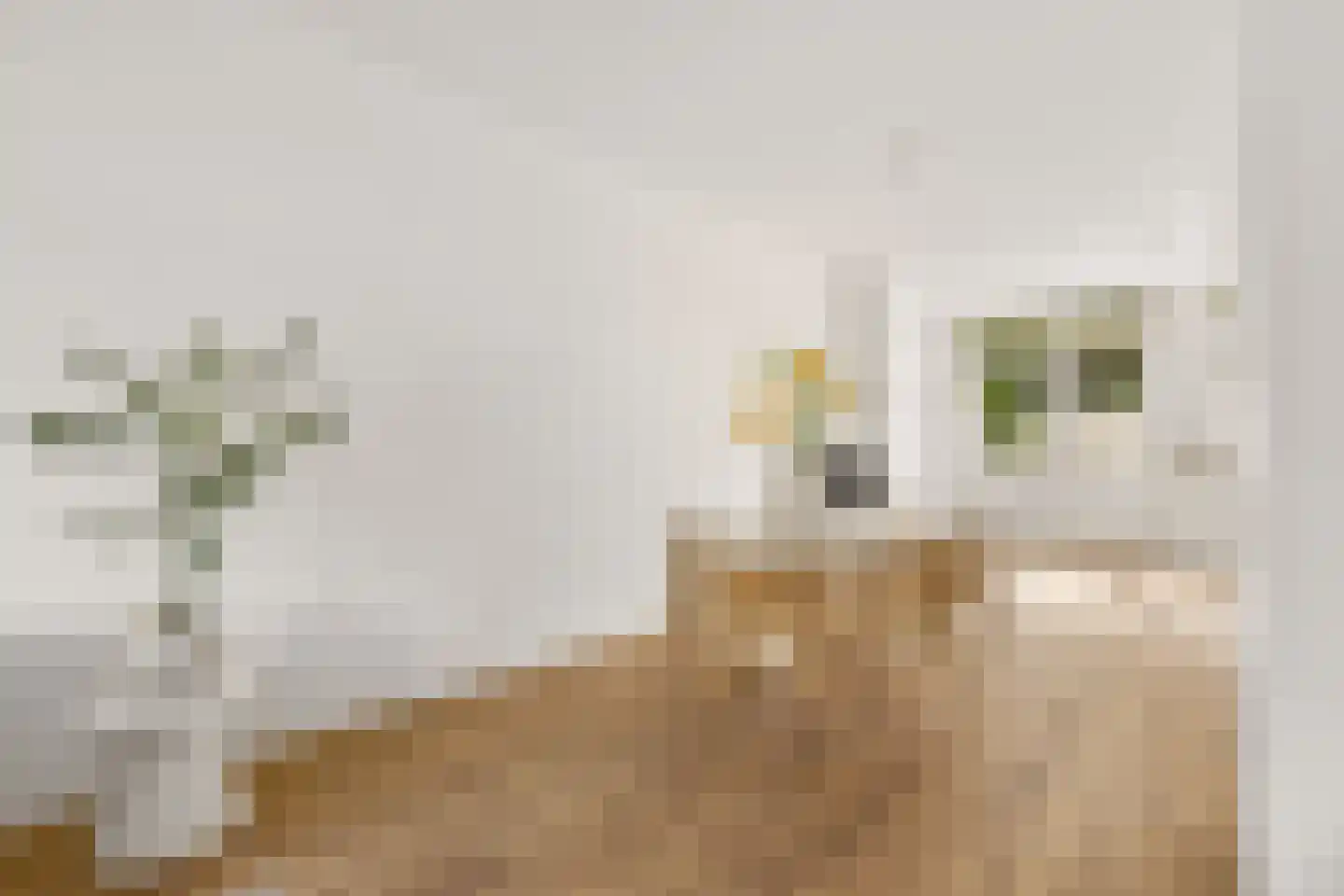 Vleutenseweg 466 Utrecht thumbnail 13