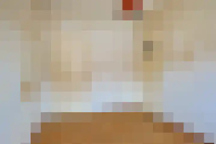 Vleutenseweg 466 Utrecht thumbnail 24