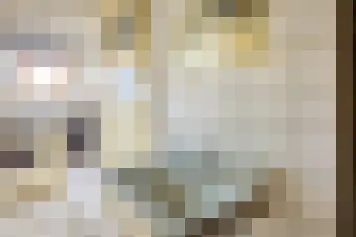 Vleutenseweg 466 Utrecht thumbnail 27