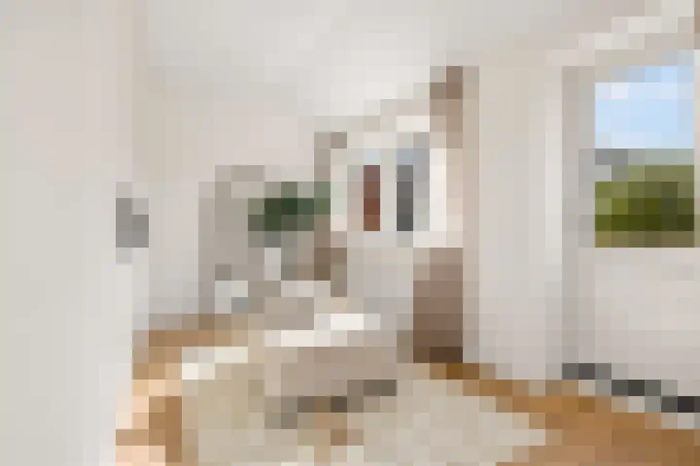 Vleutenseweg 466 Utrecht thumbnail 31