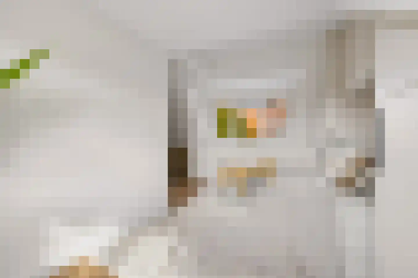 Vleutenseweg 466 Utrecht thumbnail 38