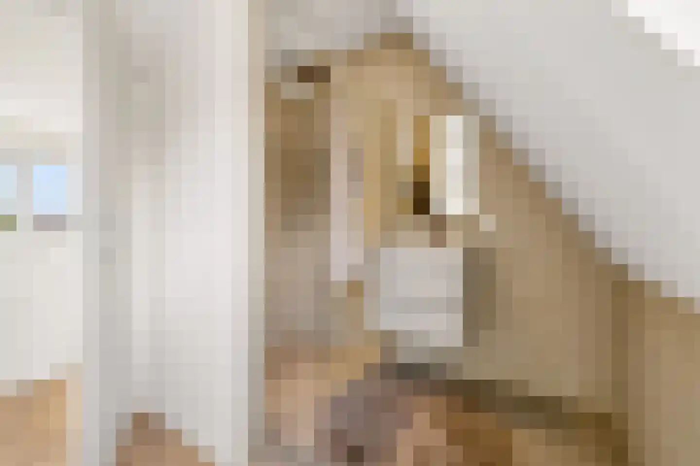 Vleutenseweg 466 Utrecht thumbnail 39