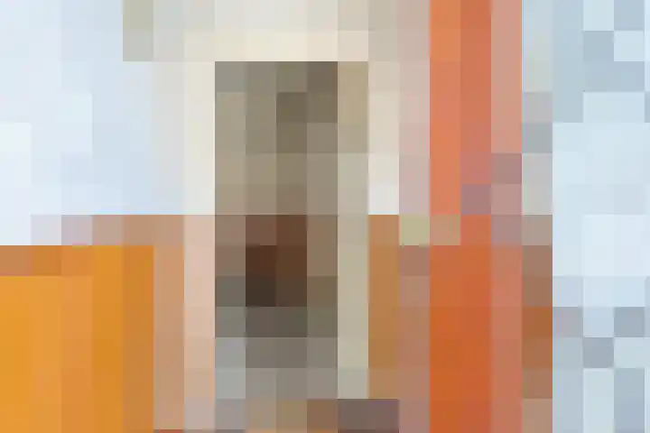 Vleutenseweg 466 Utrecht thumbnail 5