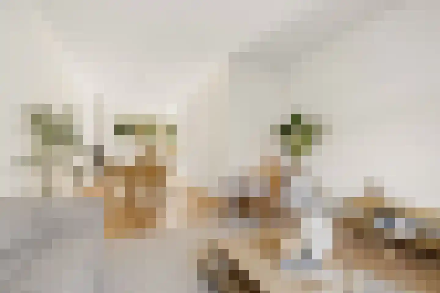 Vleutenseweg 466 Utrecht thumbnail 9