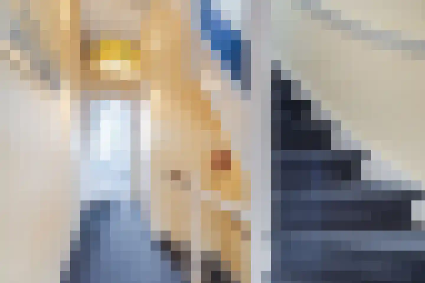 Vleutenseweg 84 Utrecht thumbnail 15