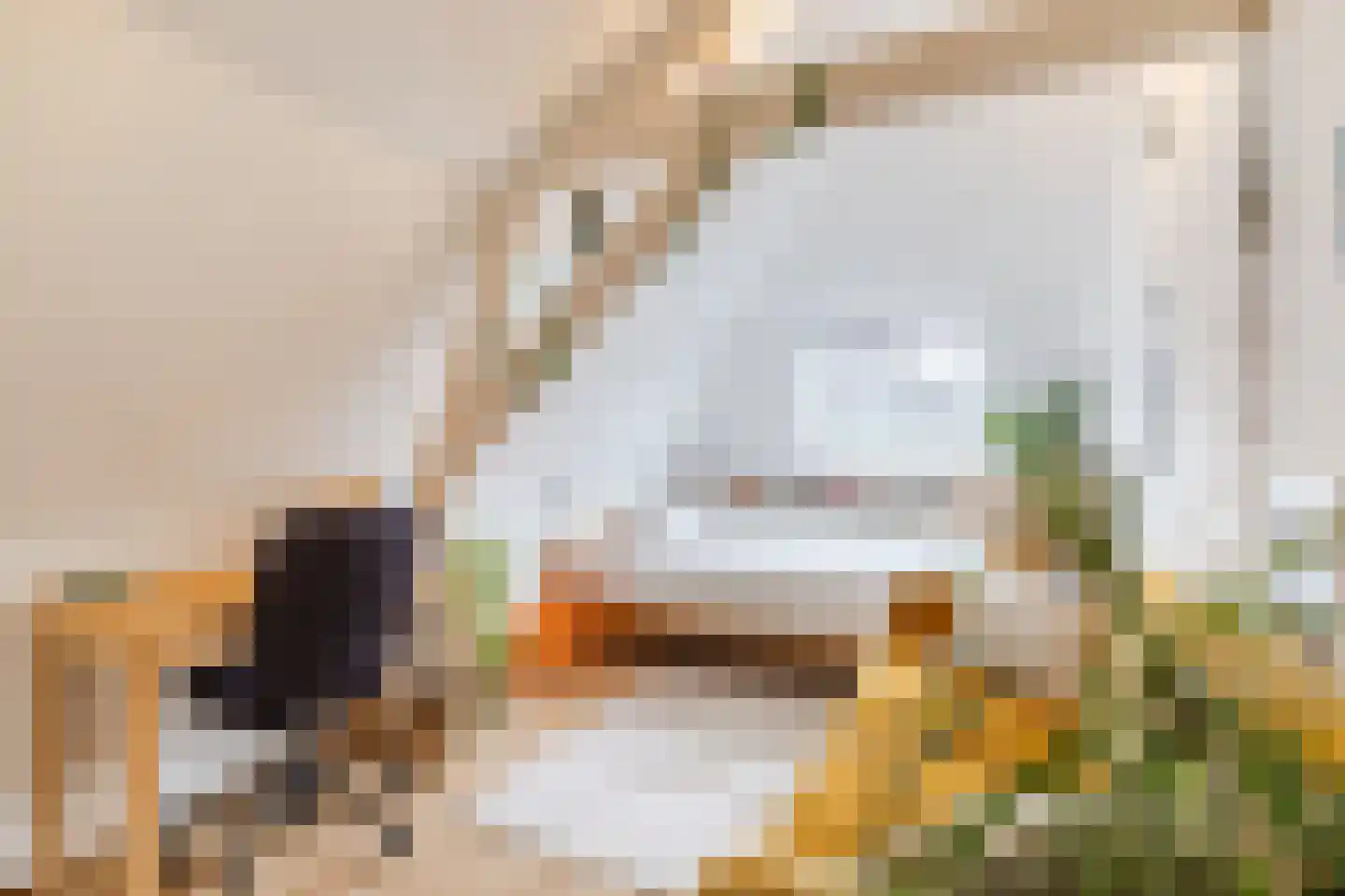 Vleutenseweg 84 Utrecht thumbnail 18
