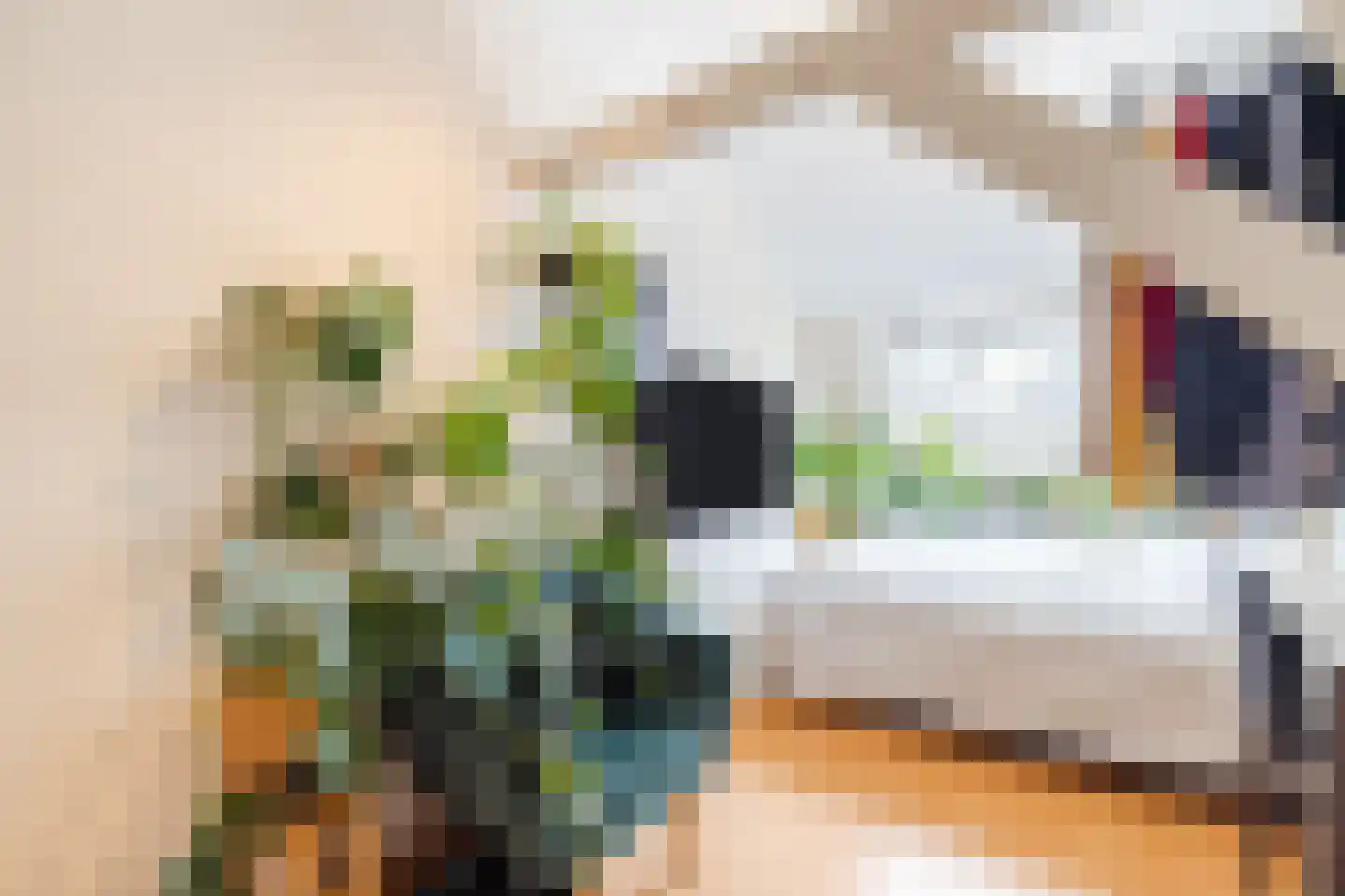 Vleutenseweg 84 Utrecht thumbnail 20