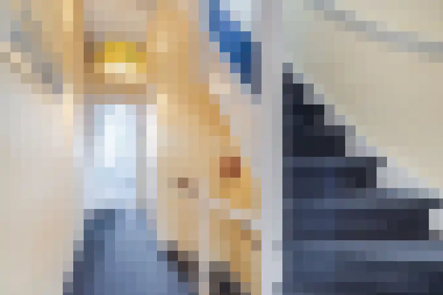Vleutenseweg 84 Utrecht thumbnail 27