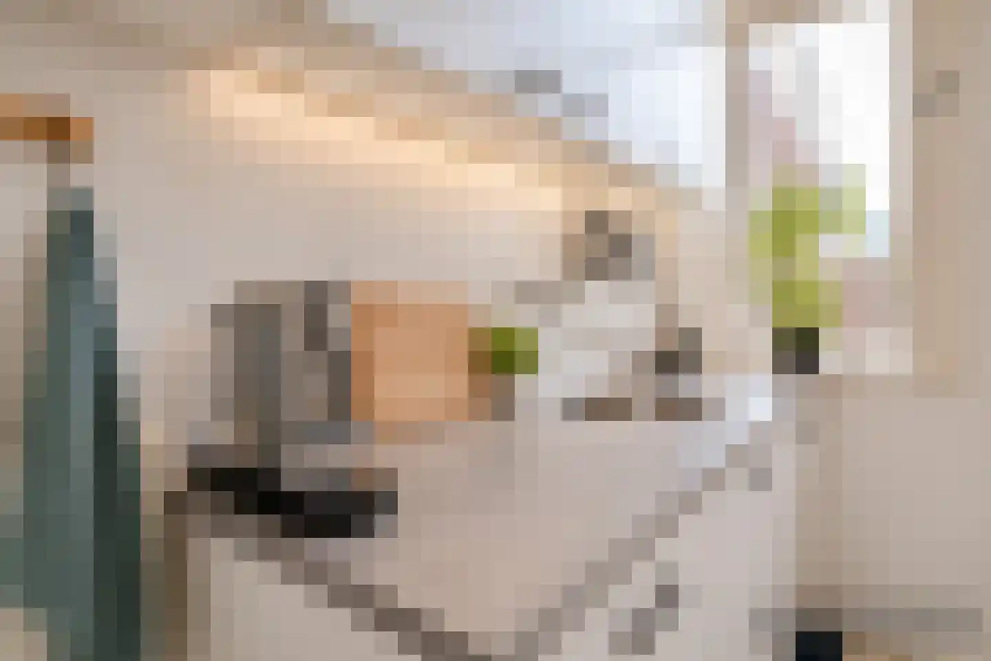 Vleutenseweg 84 Utrecht thumbnail 6