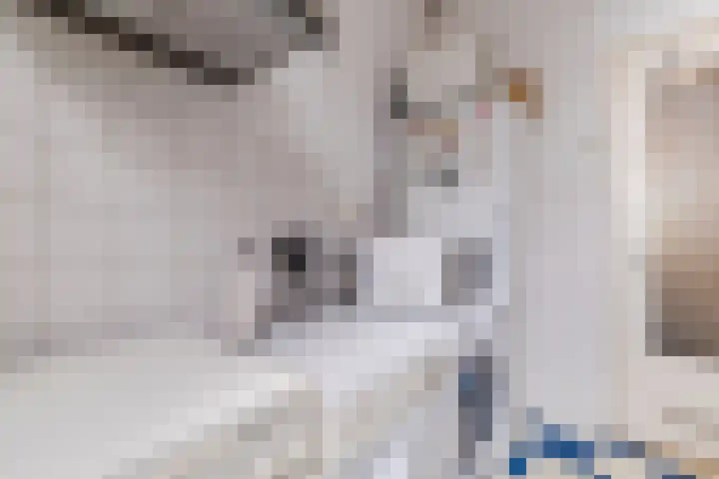 Vleutenseweg 84 Utrecht thumbnail 8