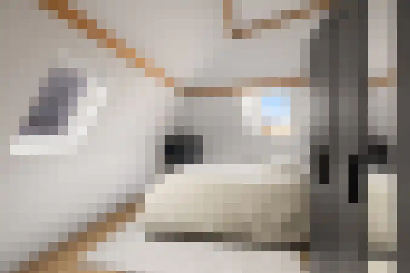 Vleutenseweg 86 Utrecht thumbnail 31