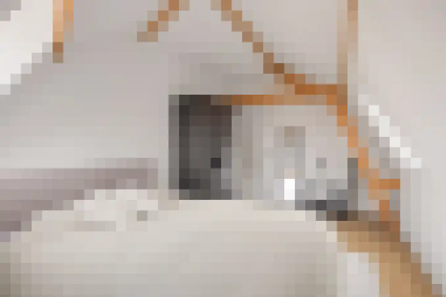 Vleutenseweg 86 Utrecht thumbnail 34