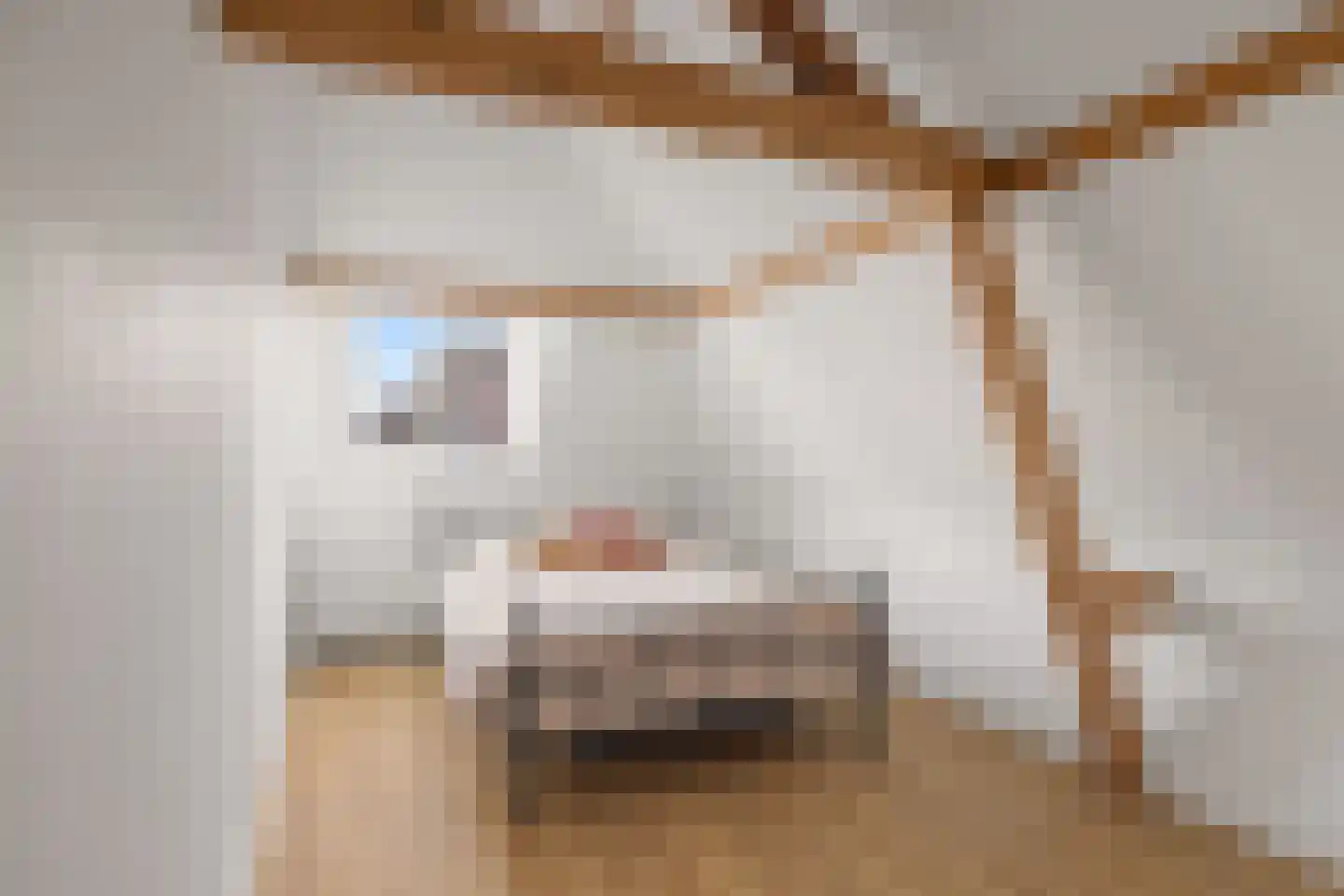 Vleutenseweg 86 Utrecht thumbnail 37