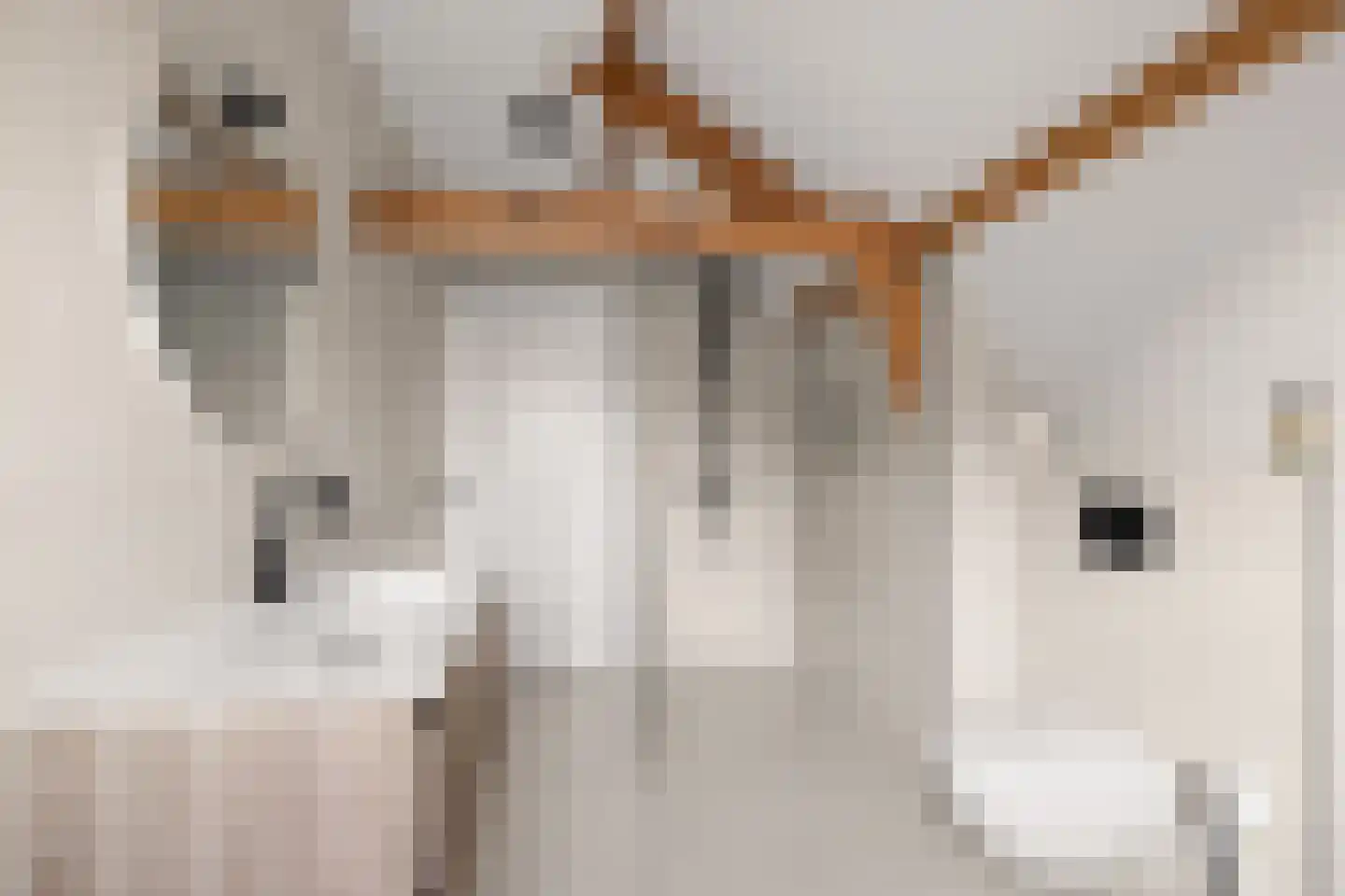 Vleutenseweg 86 Utrecht thumbnail 44