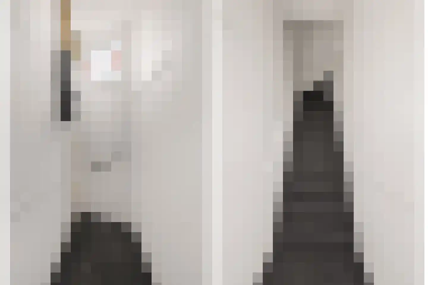 Vleutenseweg 86 Utrecht thumbnail 7
