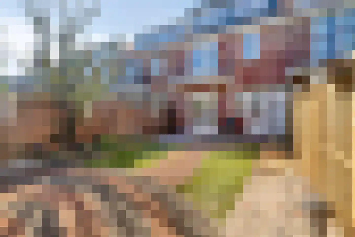 Vleutenstraat 32 Den Haag thumbnail 29