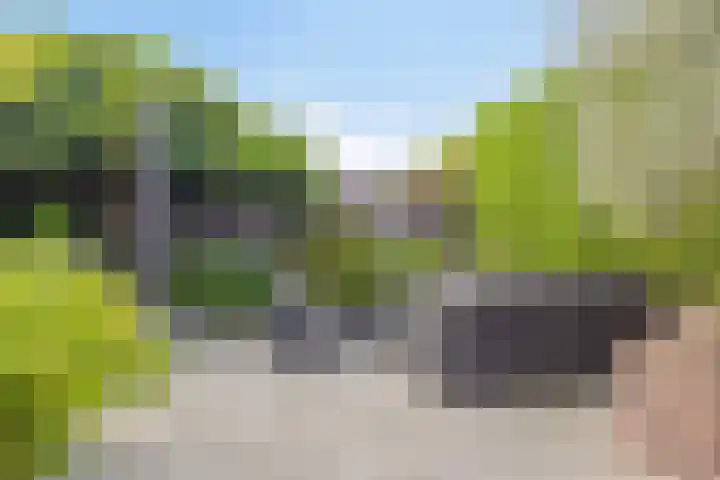 Vleutloop 11 Heesch thumbnail 54
