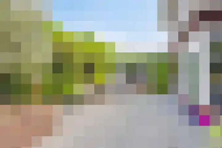 Vleutloop 11 Heesch thumbnail 56