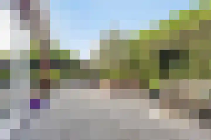 Vleutloop 11 Heesch thumbnail 57