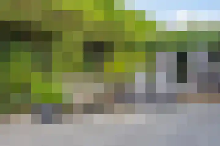 Vleutloop 11 Heesch thumbnail 58