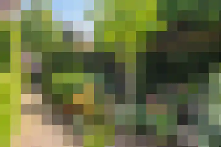 Vleutloop 11 Heesch thumbnail 59