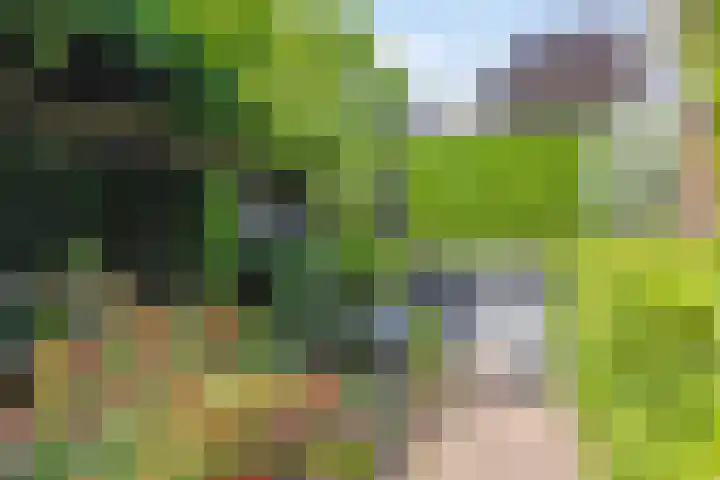 Vleutloop 11 Heesch thumbnail 60