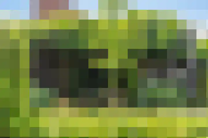 Vleutloop 11 Heesch thumbnail 61