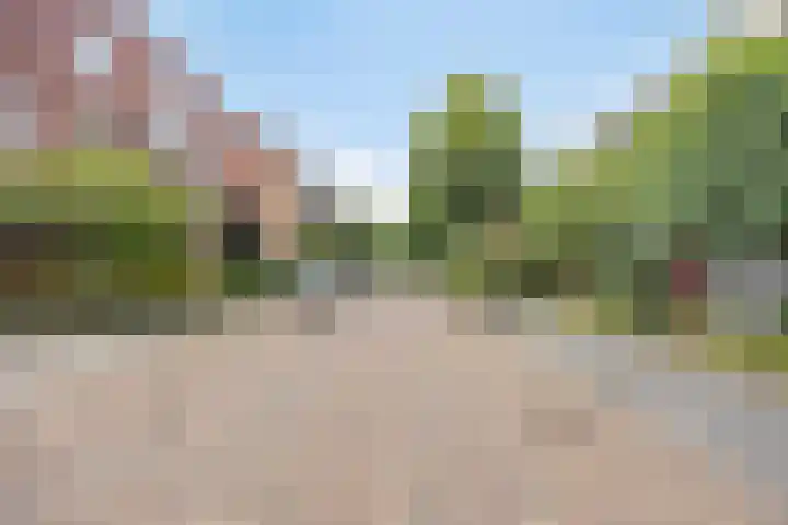Vleutloop 11 Heesch thumbnail 66