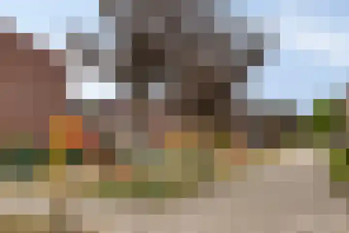 Vleutloop 11 Heesch thumbnail 67