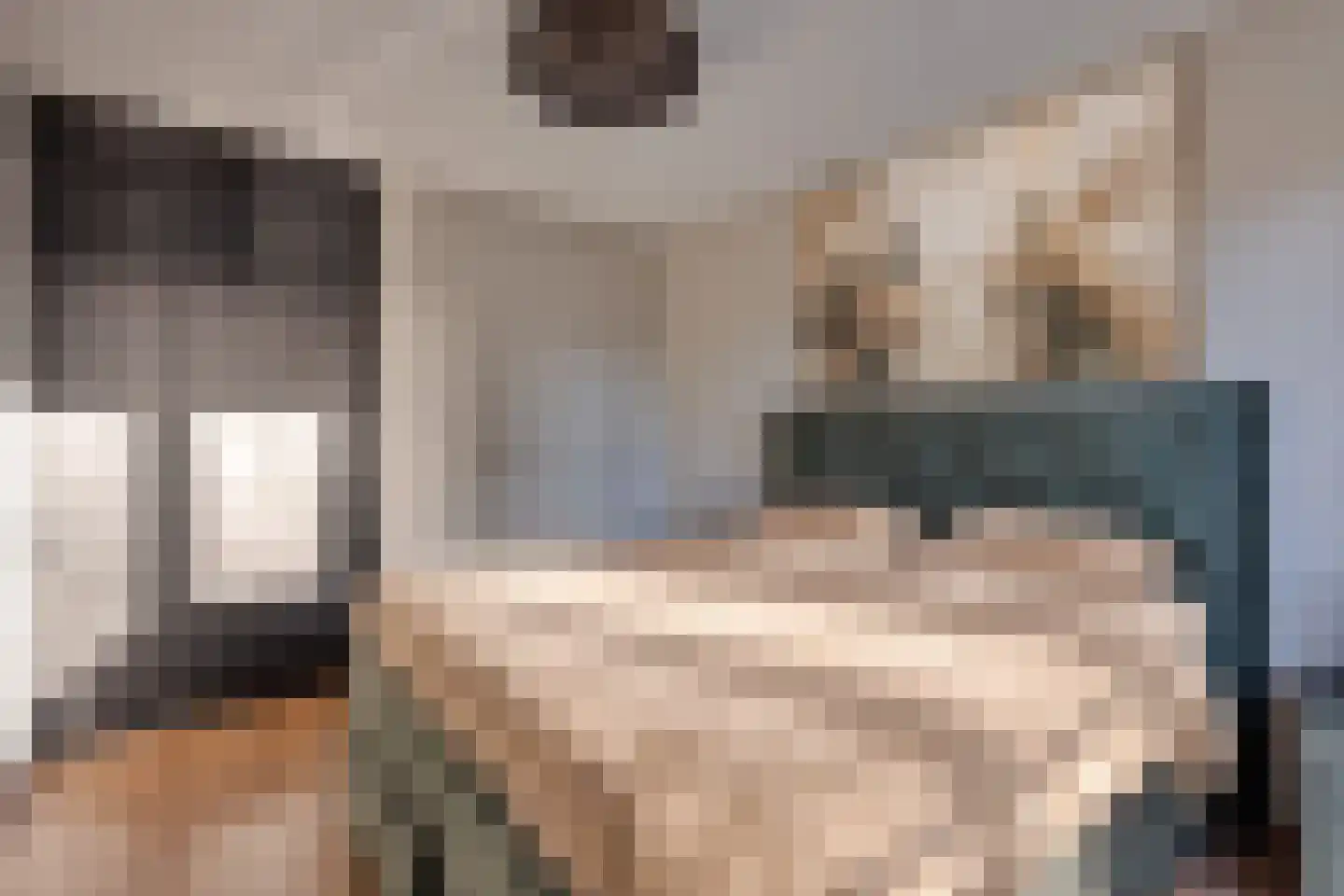 Vleutloop 25 Heesch thumbnail 18