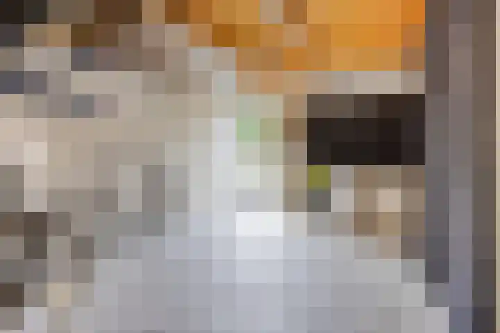 Vleutloop 42 Heesch thumbnail 30