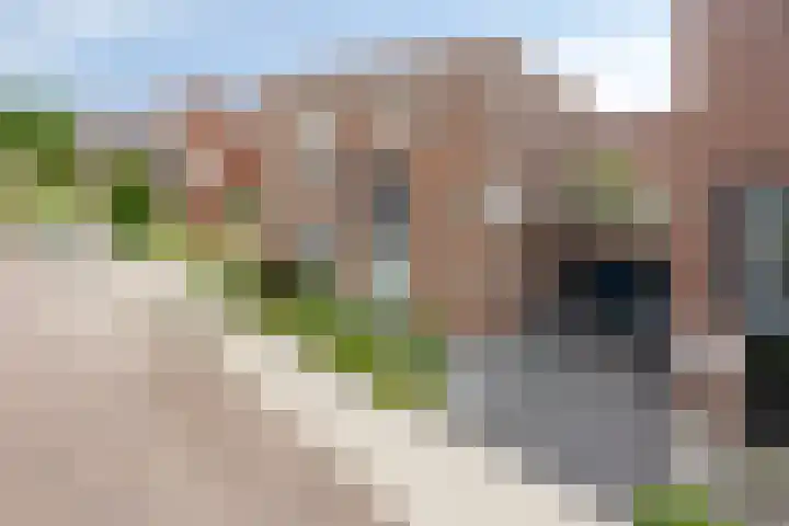 Vleutloop 42 Heesch thumbnail 35