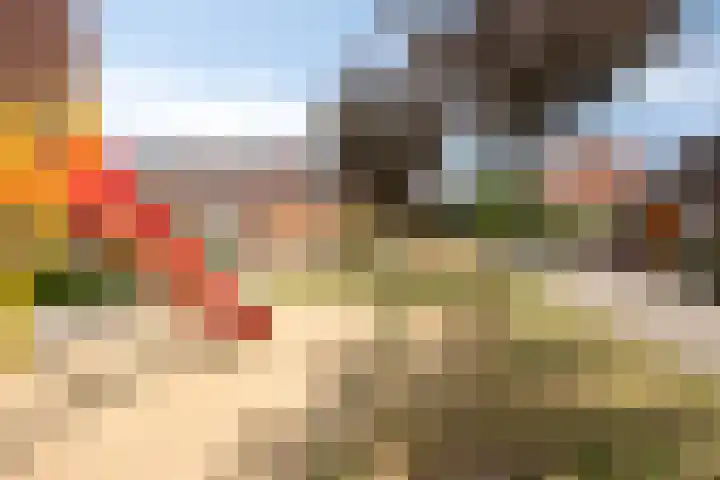 Vleutloop 42 Heesch thumbnail 39