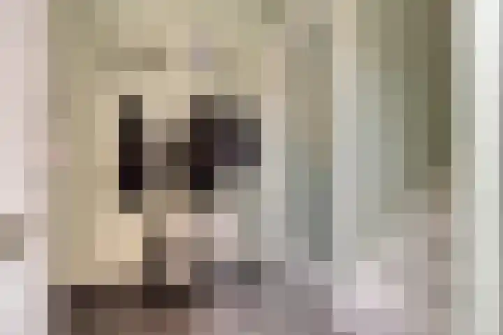 Vleutloop 42 Heesch thumbnail 4