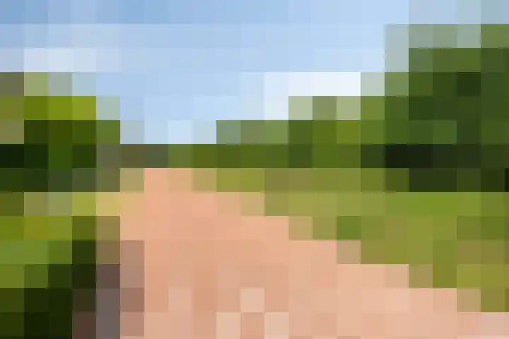 Vleutloop 42 Heesch thumbnail 40