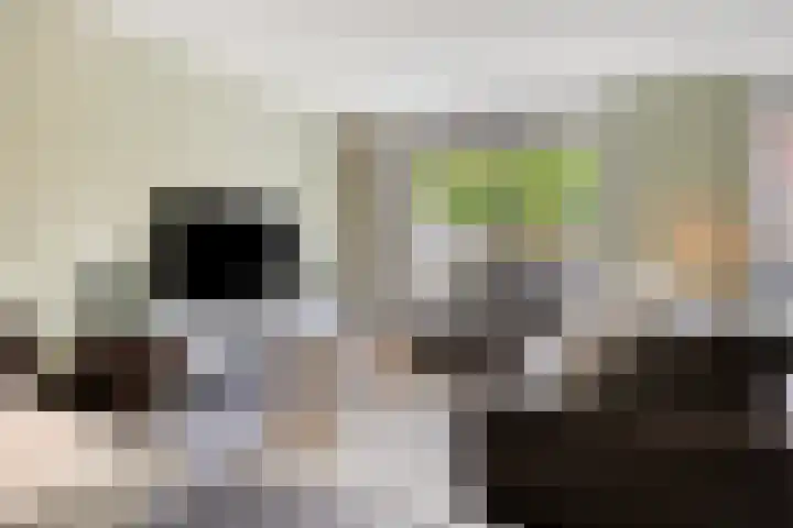 Vleutloop 42 Heesch thumbnail 8