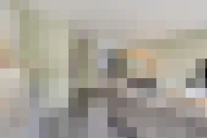 Vleutloop 42 Heesch thumbnail 9